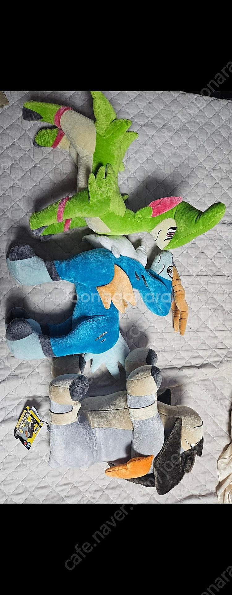 업데이트 소장품정리) 포켓몬센터 정품 새제품 인형 균일가 5천원부터~ 전설포켓몬 귀여운 포켓몬 전부 모음--2