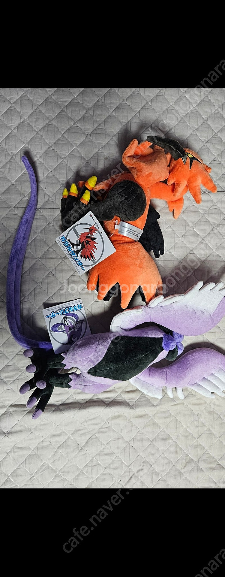 업데이트 소장품정리) 포켓몬센터 정품 새제품 인형 균일가 5천원부터~ 전설포켓몬 귀여운 포켓몬 전부 모음--5