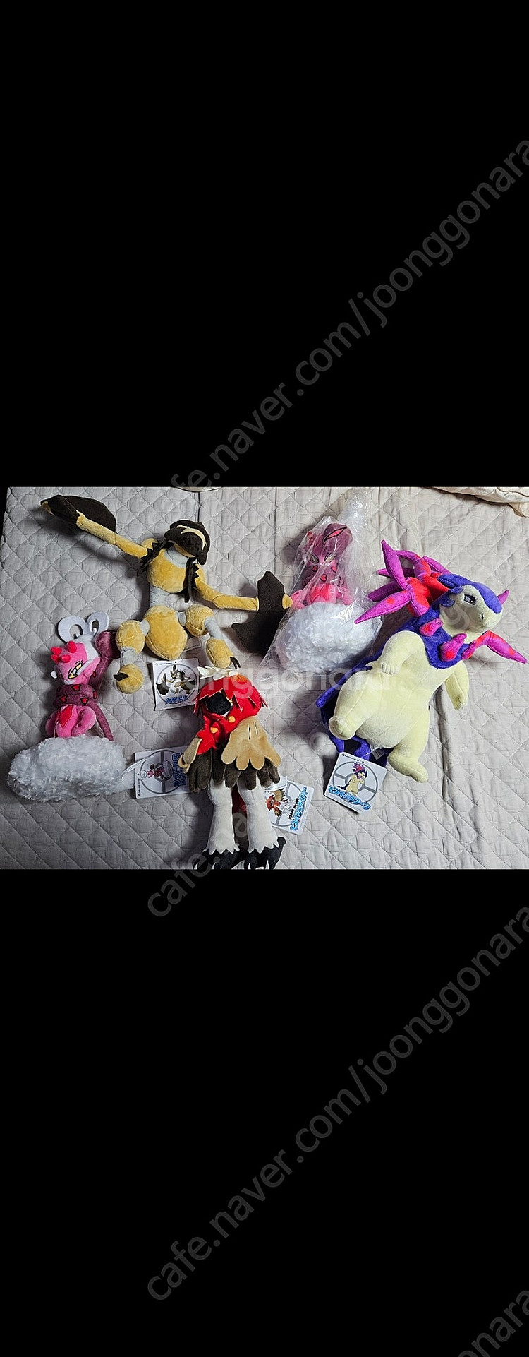 업데이트 소장품정리) 포켓몬센터 정품 새제품 인형 균일가 5천원부터~ 전설포켓몬 귀여운 포켓몬 전부 모음--8