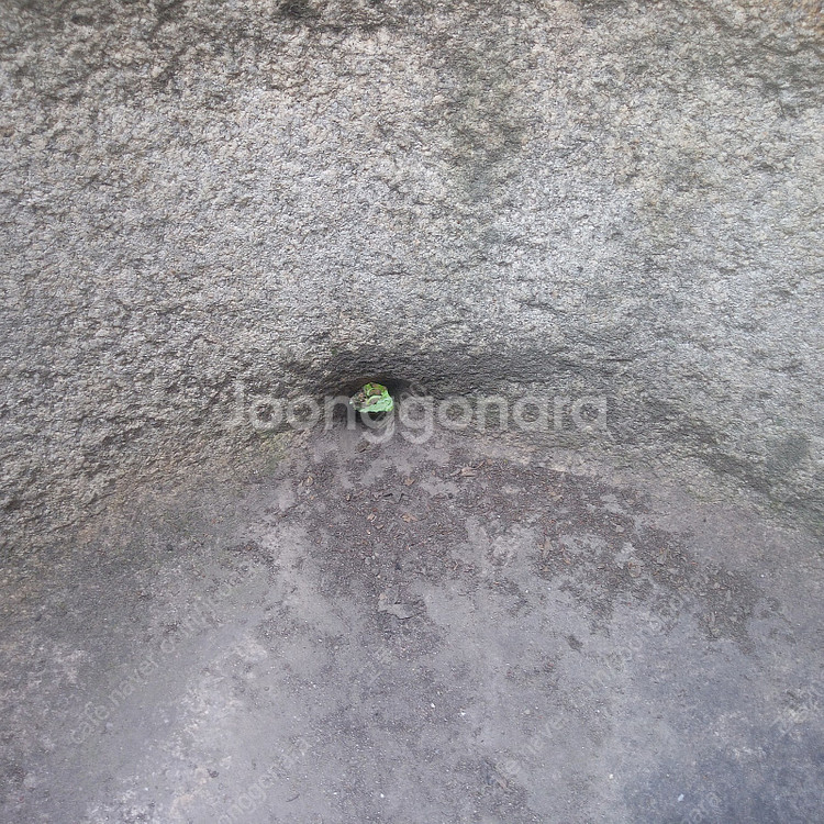 약 250년 된 조선시대 대형 물확 / 돌확 / 학독 ...--9