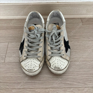 골든구스 그레이코드 36