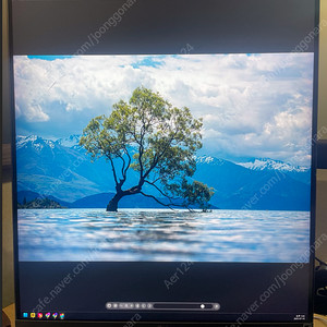 LG 28MQ780 듀얼업 모니터 저렴하게 판매합니다.