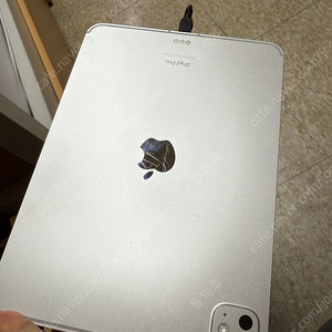 아이패드 프로 m4 11인치 셀룰러 256GB
