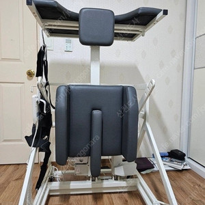 기립기 팜파스 기립기 ST-100 팝니다