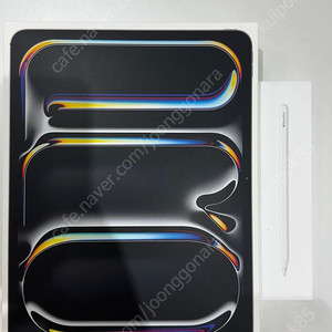 iPad Pro 13모델 M4 (실버, 512GB, Wi-Fi + Cellular, Apple Pencil Pro)