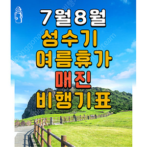 비행기 매진 숨은 좌석 찾아드립니다 1~2일 내 예약 완료