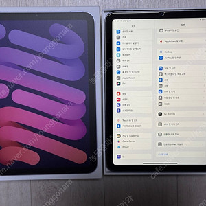 아이패드 미니 6 퍼플 64GB (Wi-Fi)
