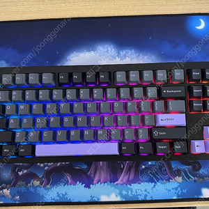 Gx87 상옵 블랙퍼플 오렌지축 팝니다