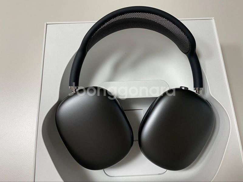 Apple 애플 에어팟맥스 애플케어플러스 팝니다--0