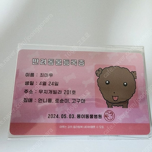 마루는 강쥐 마루 반려동물 등록증 반택포