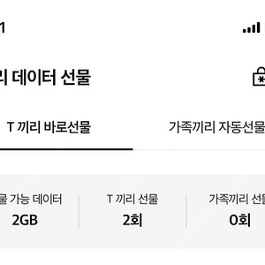 SKT 데이터 판매 2기가