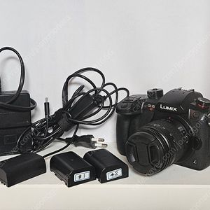 GH5s + 14-45 렌즈 + 배터리 2개 및 기타