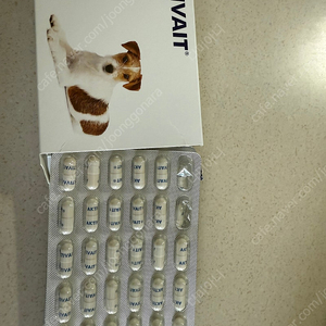 액티베이트