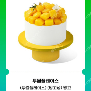 투썸플레이스 망고 생크림 케이크 케익(3.8만짜리) 3.1만에 팔아요
