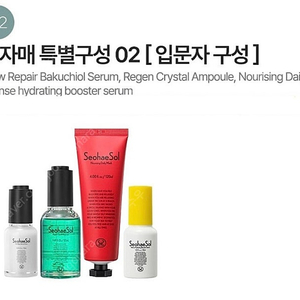 서해솔 입문자 구성