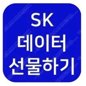 SK데이터 2GB 판매
