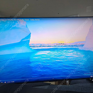 98인치 TV(tcl 98x955)