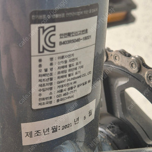 자이언트 타론 0 2021년식 L