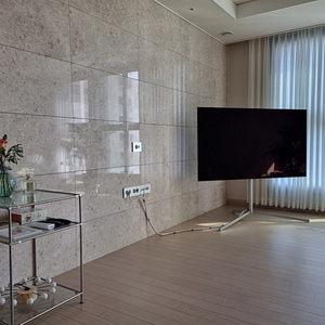 LG 올레드 TV 65인치