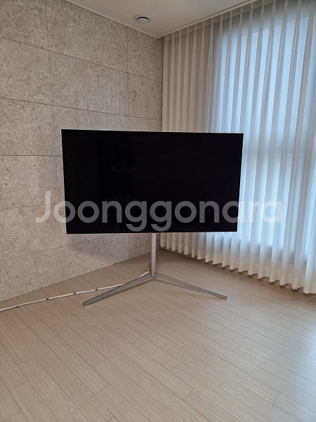 LG 올레드 TV 65인치--1
