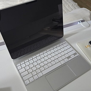 아이패드프로 13 m4 1tb 셀룰러 팔아요~