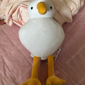 흰색키위새 인형[새상품]
