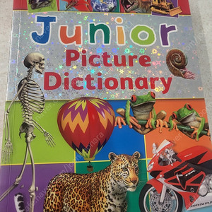 Junior Picture Dictionary