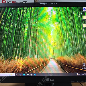 LG FLATRON EX2042