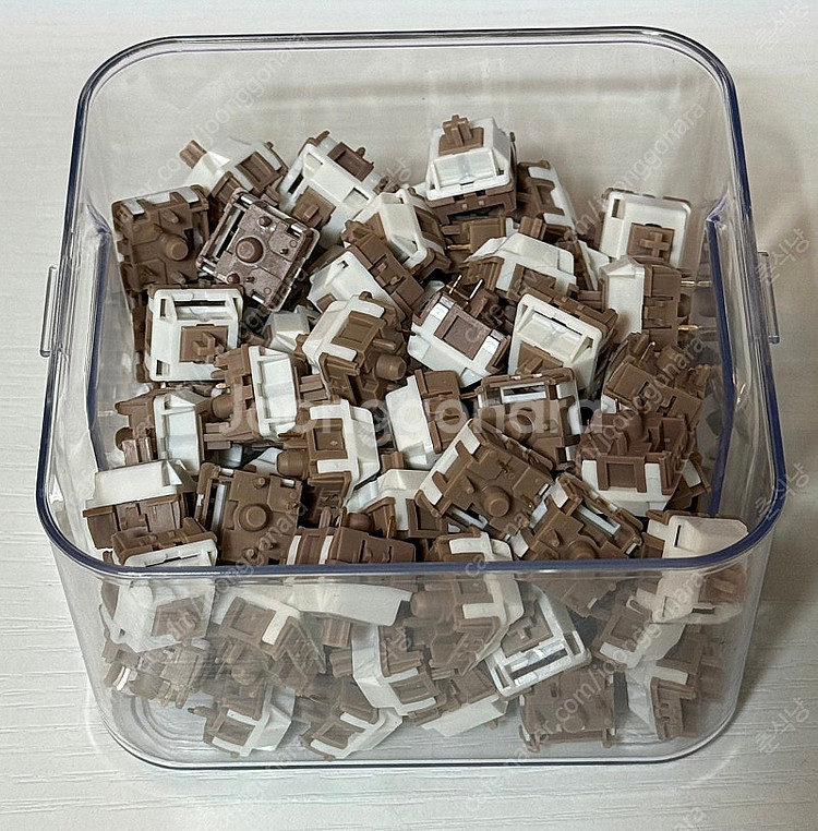 각종 스위치, 키캡 팝니다 (카일 코코아축, 프린세스축...--3