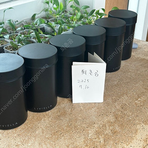 리비엘라 자동 진공 원두 보관 캐니스터 라지 1.8리터 6개