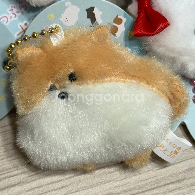 yell 츠부라나 히토미노 강아지 고양이 동물 미니 인...--2