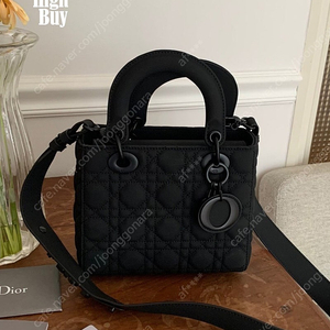 디올레이디백 블랙무광 스몰