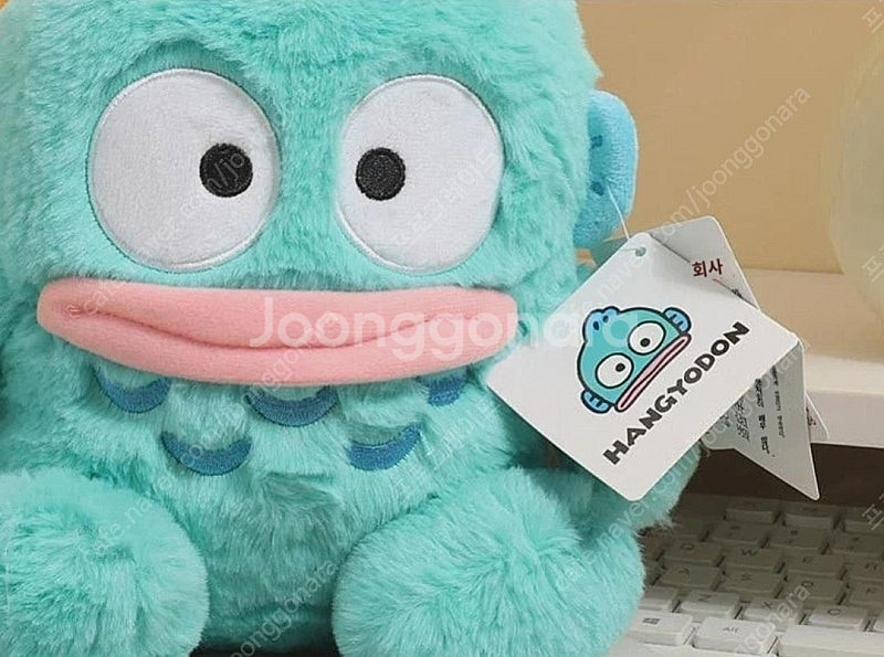 한교동 중형 뽀글이 (산리오 정품)27cm--1