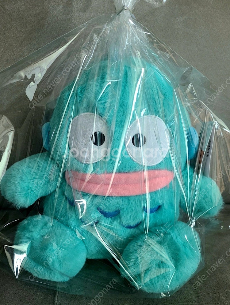 한교동 중형 뽀글이 (산리오 정품)27cm--3
