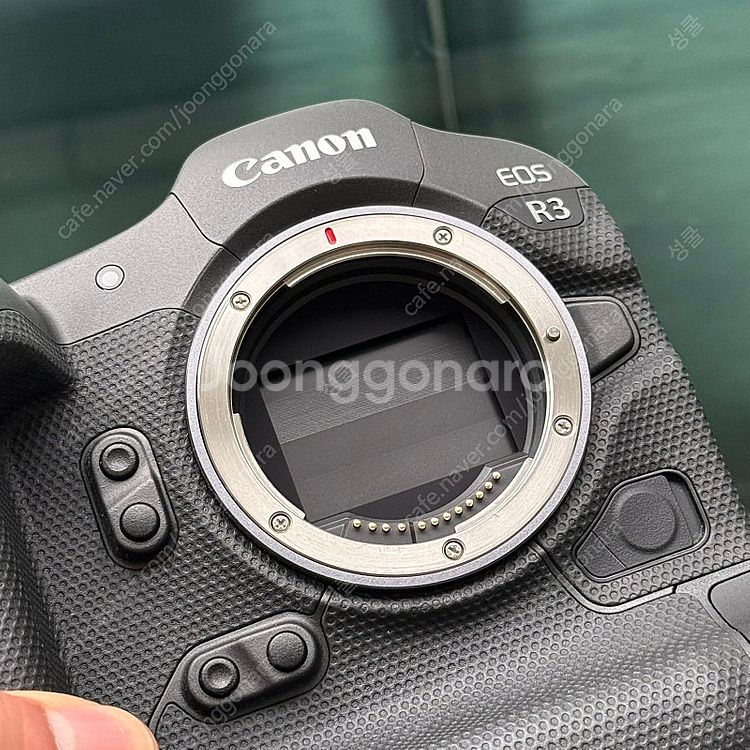 (Canon) 캐논 R3 바디 (컷수 1000컷미만)--7
