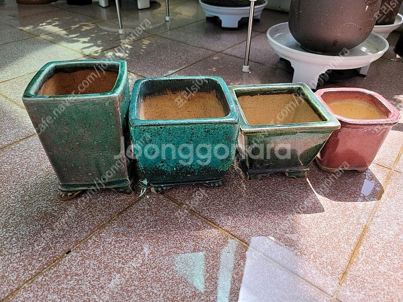 야생화분 다육화분 홍암분--0