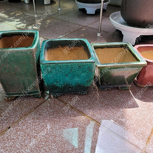 야생화분 다육화분 홍암분