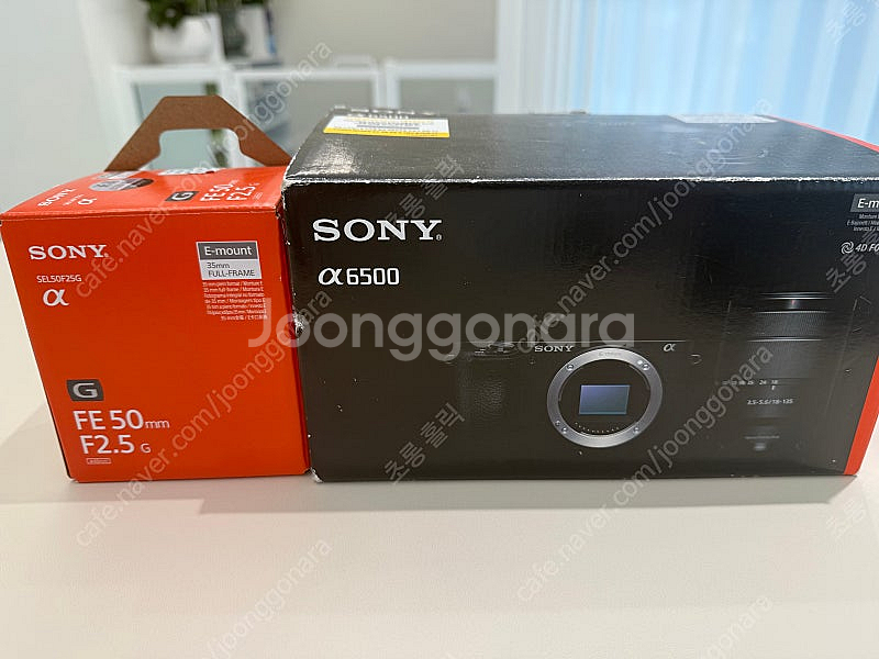 소니 알파 6500+소니 단렌즈 FE50mm--5