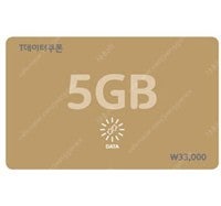 SKT T데이터쿠폰 5GB, 2GB, 1GB, 500M...--0