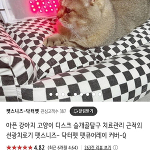 고양이 강아지 적외선 치료기 닥터펫 근적외선 광치료기