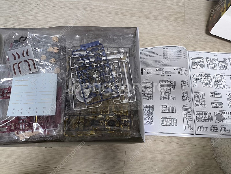 장혼희 원더우먼 택포--1
