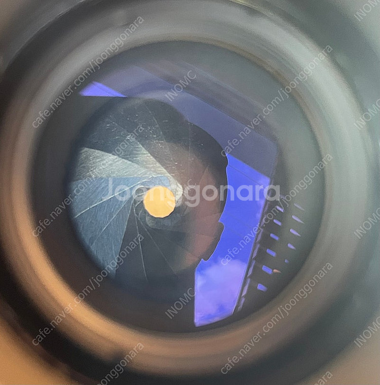 M42 보케 킹 15날 PENTACON 135mm--3