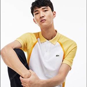 라코스테 PK티셔츠 남성100 택포