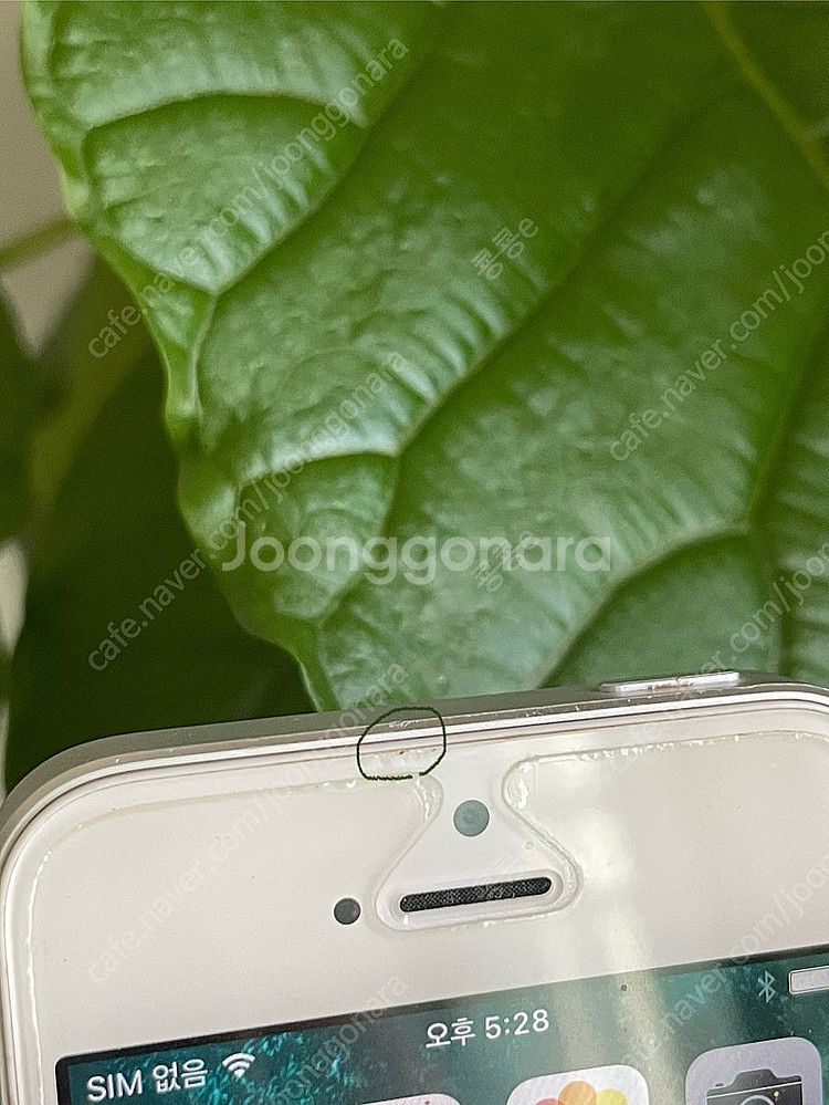 아이폰5s 64gb 실버 미국판 무음카메라 박스포함--5