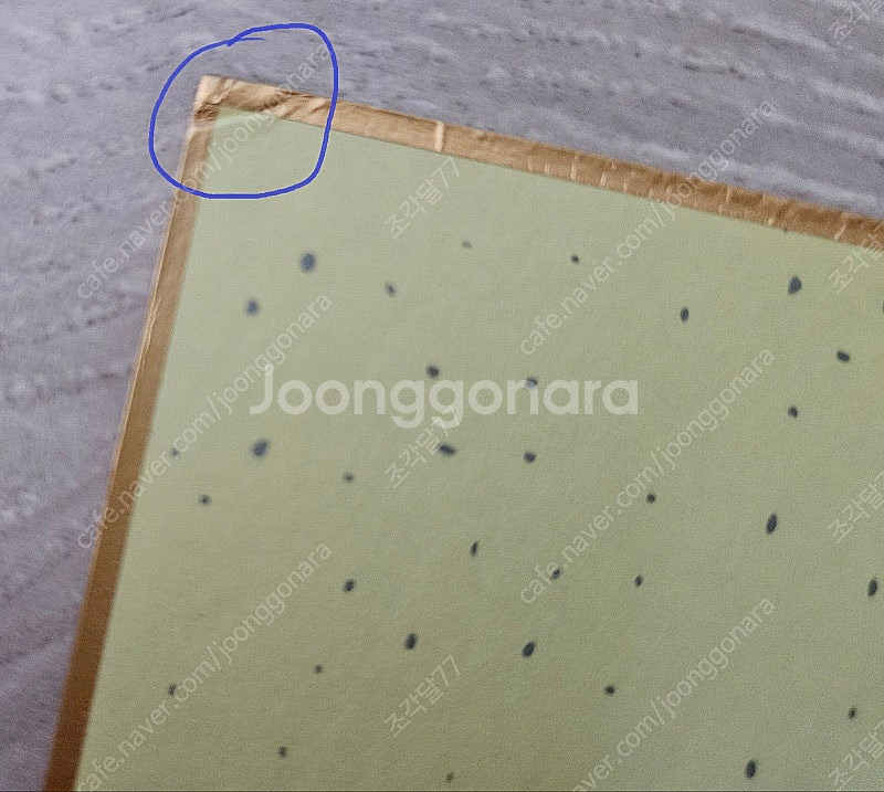데스노트 오바타 타케시 복제사인 색지 그림--4