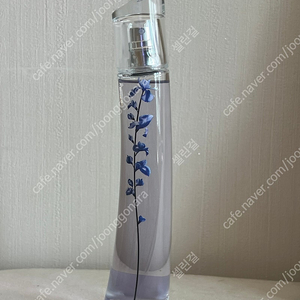 겐조 플라워 이케바나 오드 퍼퓸 인디고 75ml (1회시향/택포)