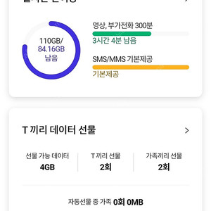 skt 2기가
