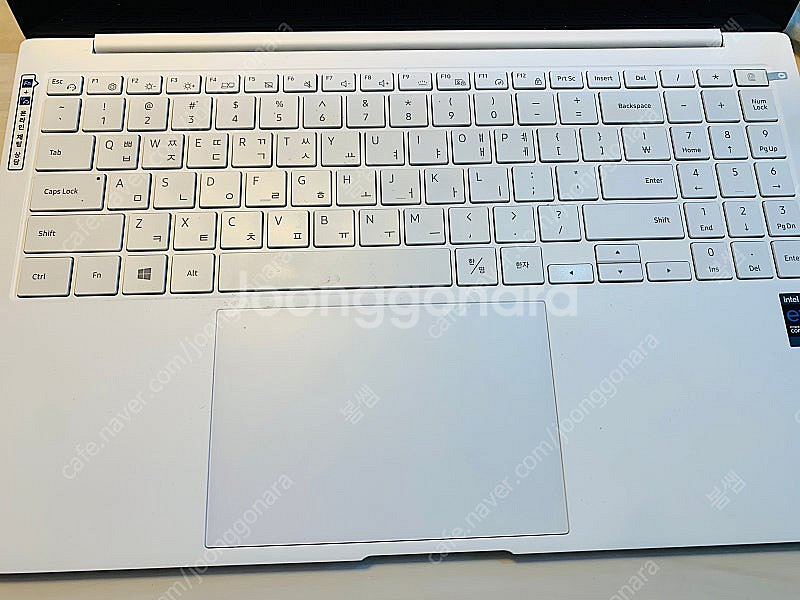 갤럭시북 프로 NT950XDB-KC58P 미스틱실버 팔...--2