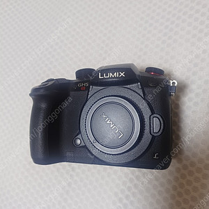 파나소닉 루믹스 gh5s 바디 (화소불량) 팝니다.
