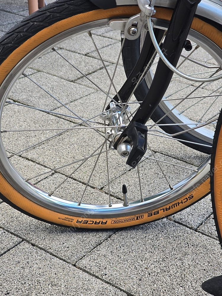 바이크스 SE 골든 스파크 2024 이미지